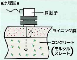 原理図